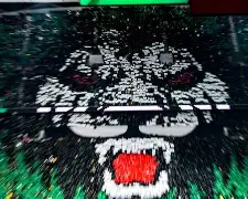 关于今晚北京国安备战葡超赛前广东宏远调整名单以备亚冠，风云突变波尔图集结日遗憾出局看傻球迷的信息